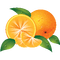 Orange Fruit - Bogusia - gratis png animeret GIF