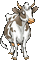 vache - Besplatni animirani GIF animirani GIF
