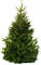minou-christmas-tree
