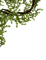 branch katrin - Free PNG Animated GIF