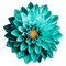 blomma--flower--turkos--turquoise - PNG gratuit GIF animé