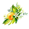 kikkapink tangerine deco png branch - безплатен png анимиран GIF