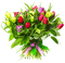 букет тюльпанов - zdarma png animovaný GIF
