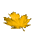 feuilles automne gif autumn leaves  gif