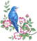 Vogel, Blau, Blumen, Bird, flowers - PNG gratuit GIF animé