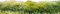 Meadow - ilmainen png animoitu GIF