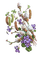 Frühling, Blumen, Weidekätzchen - безплатен png анимиран GIF