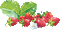 strawberries - GIF animado grátis Gif Animado