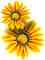 Sunflower fleur - PNG gratuit GIF animé
