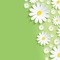 Background Flowers - png gratuito GIF animata