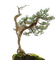 tree - безплатен png анимиран GIF