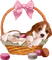 Kaz_Creations Dog Pup In Basket - png gratis GIF animasi