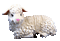 Kaz_Creations Animated Sheep Lamb