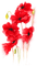 soave deco flowers poppy red green - PNG gratuit GIF animé