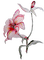 Flowers pink bp - zdarma png animovaný GIF