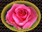 rosa - Ingyenes animált GIF animált GIF
