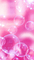 Fond bulle rose pink background bubble bulles bg - darmowe png animowany gif