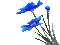 Цветок - Zdarma animovaný GIF animovaný GIF
