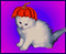 cat with hats - GIF animado gratis GIF animado