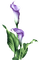 Flowers purple bp - png gratis GIF animasi