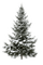 Rena Winter Snow Tree Schnee Baum - zdarma png animovaný GIF