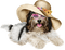 dolceluna summer dog - nemokama png animuotas GIF