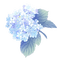 hortensia Bb2 - Free PNG Animated GIF
