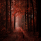 red forest bg foret rouge fond - gratis png animerad GIF