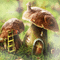 fantasy mushroom bg