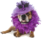 bulldog - Zdarma animovaný GIF animovaný GIF