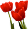 fleur - png gratis GIF animasi