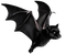 bat by nataliplus - PNG gratuit GIF animé