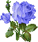 Flowers blue bp - Бесплатни анимирани ГИФ анимирани ГИФ