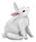 Kaz_Creations Animals Rabbit Hare - zdarma png animovaný GIF