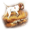 soave animals vintage autumn dog  deco brown - Free PNG Animated GIF
