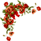 red flowers poppies corner, sunshine3 - PNG gratuit GIF animé