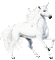 licorne - Darmowy animowany GIF animowany gif