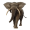 Kaz_Creations Elephant - kostenlos png Animiertes GIF