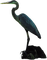 bird - PNG gratuit GIF animé