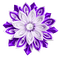 Pearl.Fabric.Flower.White.Purple - бесплатно png анимированный гифка