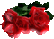 rose - Bezmaksas animēts GIF animēts GIF