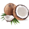 Coconut - png grátis Gif Animado