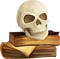 Halloween. Books. Skull. Leila - безплатен png анимиран GIF