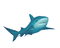 shark bp - png gratuito GIF animata
