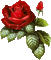 rosemab - Darmowy animowany GIF animowany gif