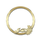 frame round bp - 免费PNG 动画 GIF