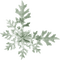 Kaz_Creations Deco  Winter Leaves - gratis png geanimeerde GIF