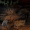 Cave Nursery - PNG gratuit GIF animé