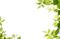 minou-frame-leaf-green - zadarmo png animovaný GIF