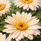 springtimes spring flowers daisy background - Ilmainen animoitu GIF animoitu GIF